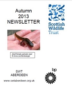 Link to the Autumn 2013 Newsletter